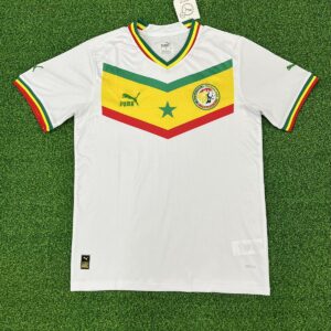 Maillot Homme Football Equipe National Sénégal Domicile 2022/2023 Adultes Face